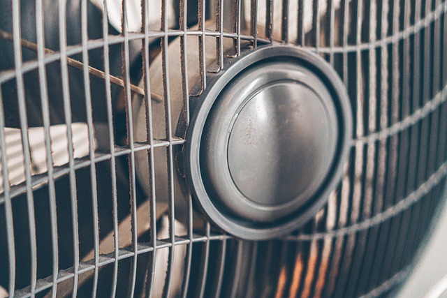 electric fan