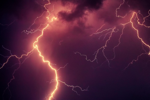 electric force