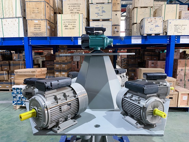 electric motor