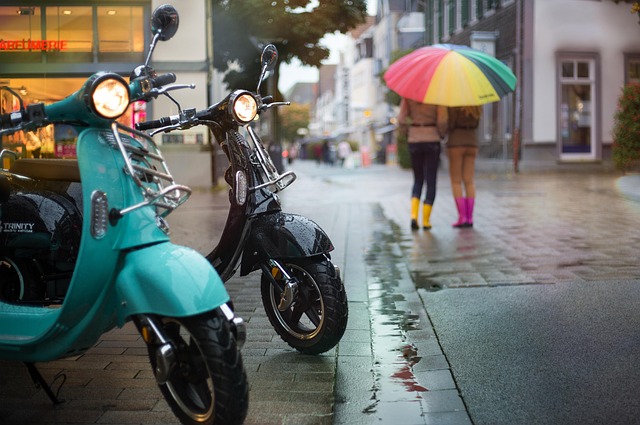 electric scooter
