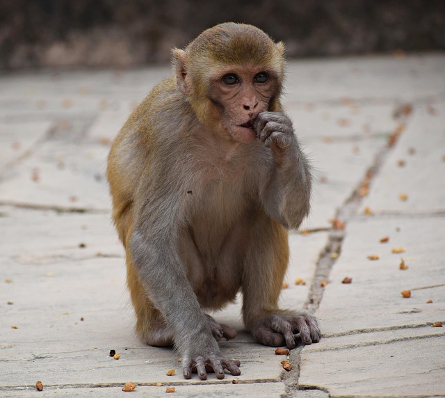 Hình ảnh minh họa ý nghĩa của từ emotional eating