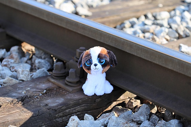 Hình ảnh minh họa ý nghĩa của từ emotional neglect