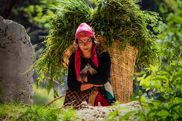 Hình ảnh minh họa ý nghĩa của từ empowered