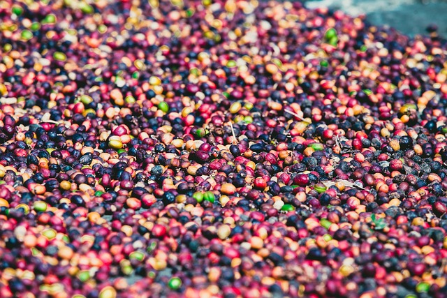 Hình ảnh minh họa ý nghĩa của từ encouraging