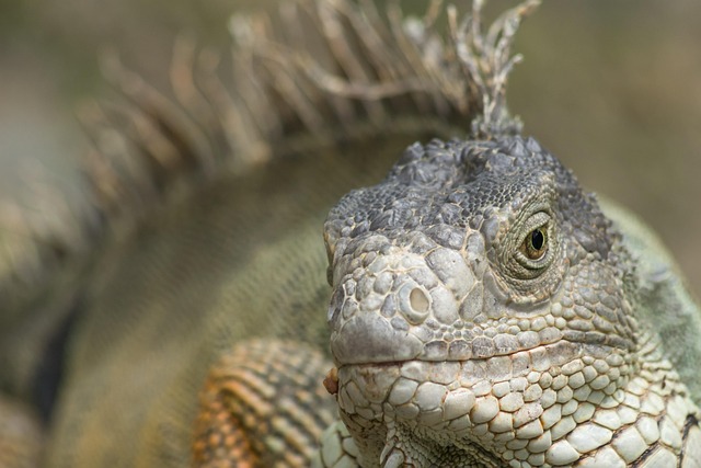 Hình ảnh minh họa ý nghĩa của từ encouraging environment