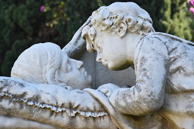 Hình ảnh minh họa ý nghĩa của từ end-of-life care