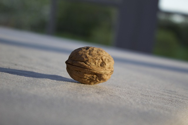 Hình ảnh minh họa ý nghĩa của từ enjoyed