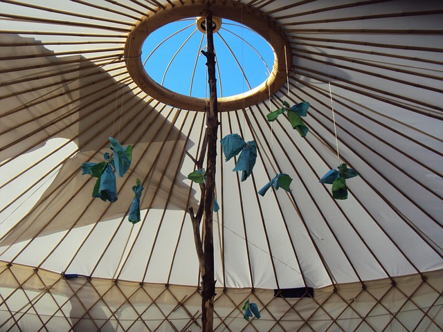 Hình ảnh minh họa ý nghĩa của từ enrolled