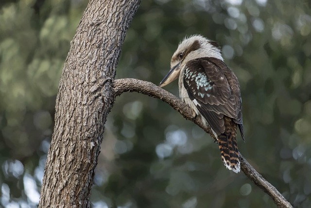 Hình ảnh minh họa ý nghĩa của từ entranced