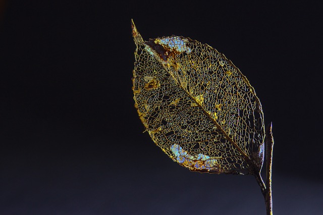 Hình ảnh minh họa ý nghĩa của từ entropy