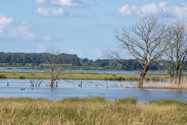 Hình ảnh minh họa ý nghĩa của từ environmental consequence