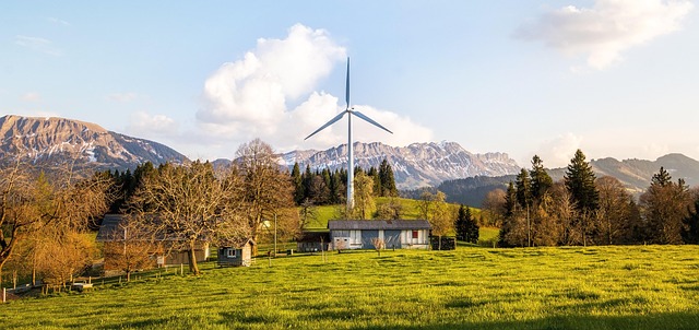 environmental costs