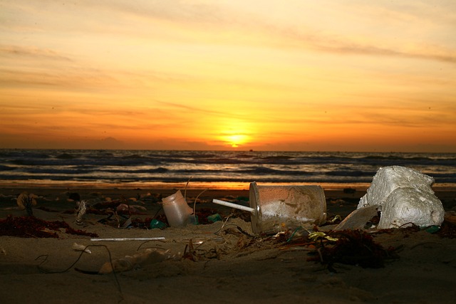 environmental issues