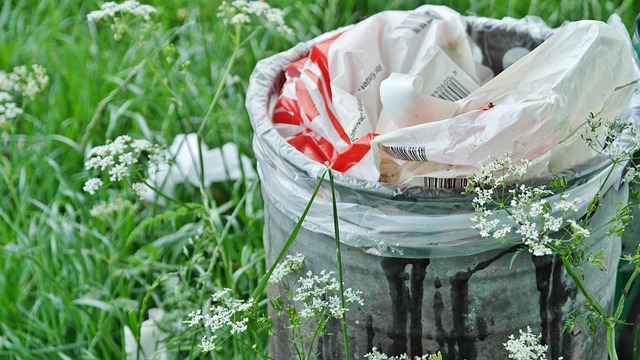 environmental responsibility