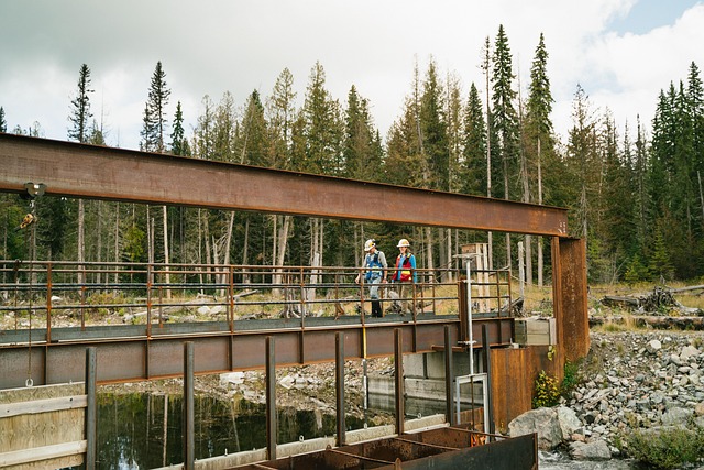 Hình ảnh minh họa ý nghĩa của từ environmental science