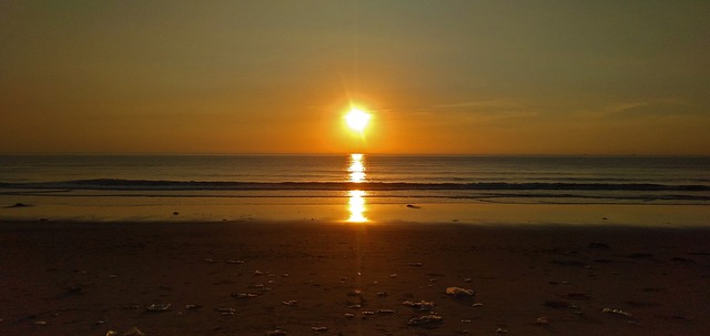 Hình ảnh minh họa ý nghĩa của từ environmentalism