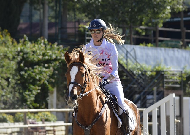 Hình ảnh minh họa ý nghĩa của từ equitably