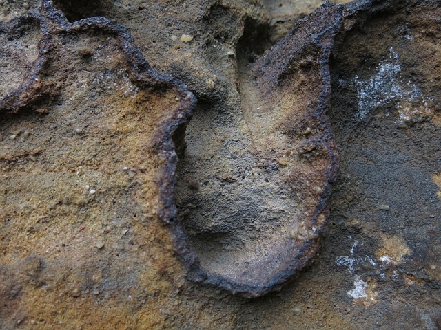 erosion corrosion