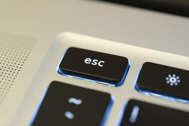 escs