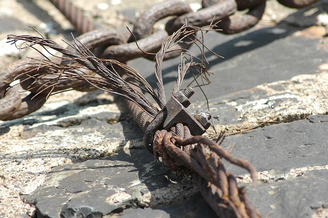 establish connections