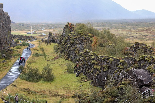 Hình ảnh minh họa ý nghĩa của từ eurasia