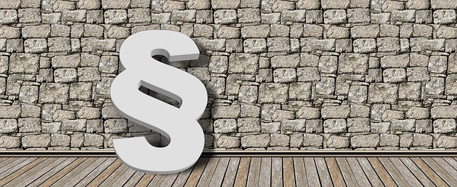 Hình ảnh minh họa ý nghĩa của từ european court of justice