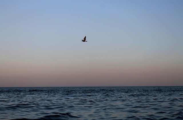 Hình ảnh minh họa ý nghĩa của từ even-tempered