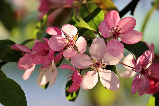 Hình ảnh minh họa ý nghĩa của từ even though