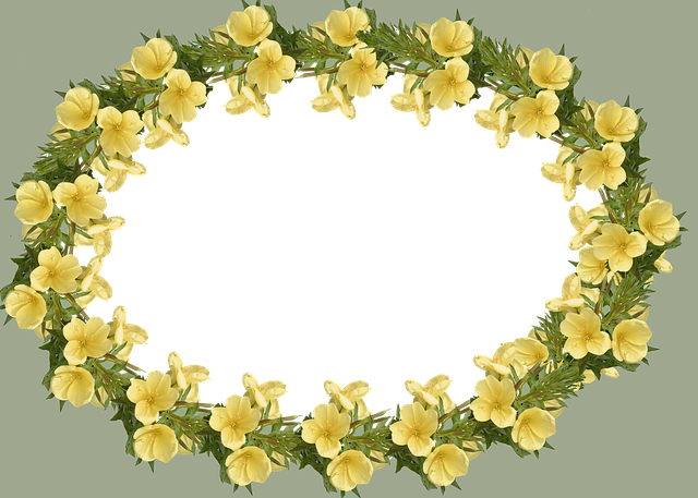 Hình ảnh minh họa ý nghĩa của từ evening out