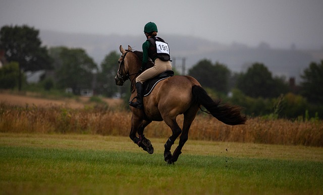 Hình ảnh minh họa ý nghĩa của từ eventing