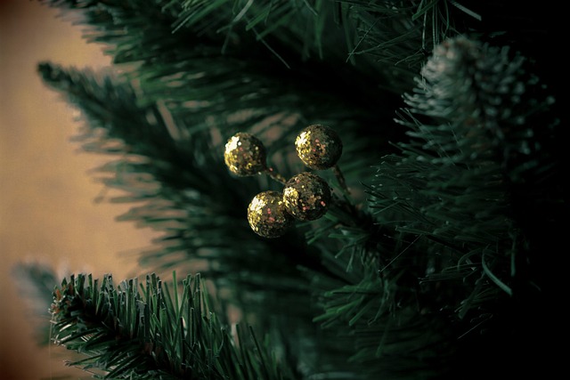 evergreen tree