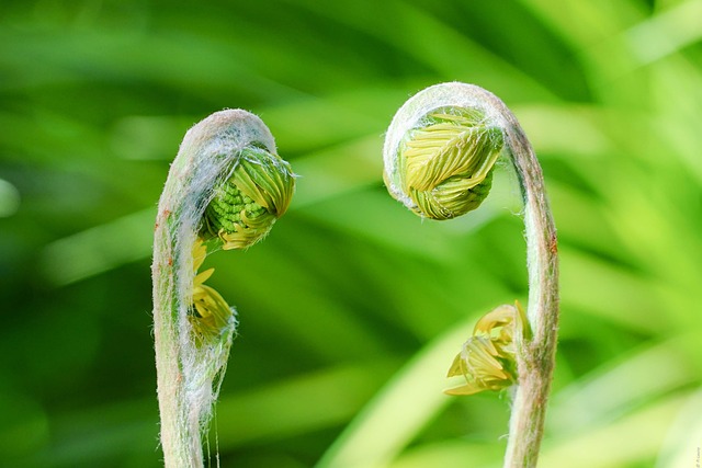 Hình ảnh minh họa ý nghĩa của từ evolving