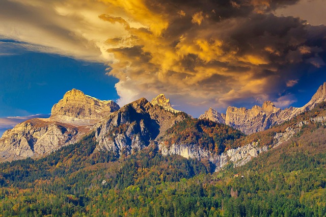 Hình ảnh minh họa ý nghĩa của từ ex-serviceman