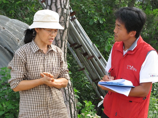 Hình ảnh minh họa ý nghĩa của từ examiner