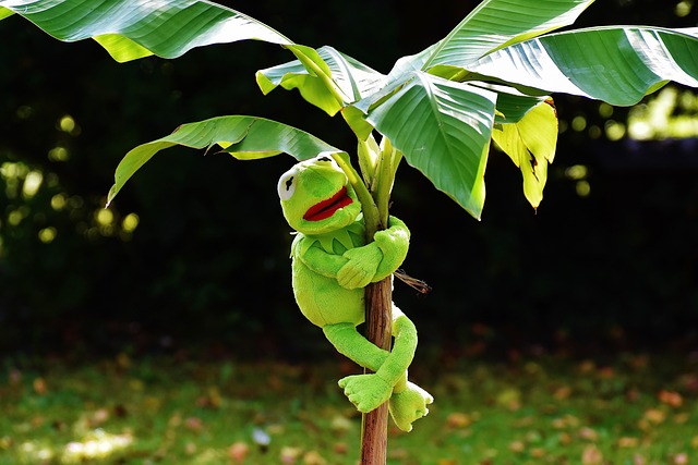 Hình ảnh minh họa ý nghĩa của từ exasperating