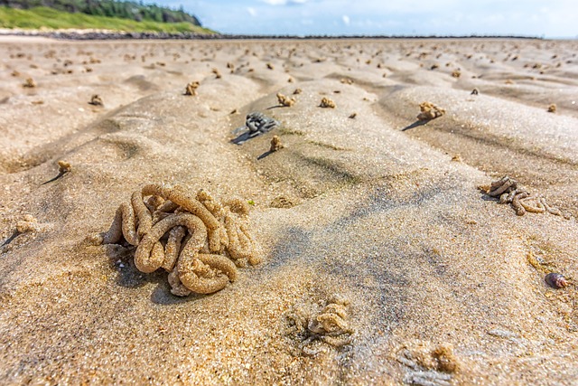 Hình ảnh minh họa ý nghĩa của từ excretion