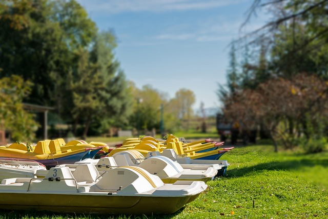 Hình ảnh minh họa ý nghĩa của từ exhibited