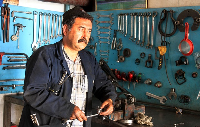 Hình ảnh minh họa ý nghĩa của từ expert work