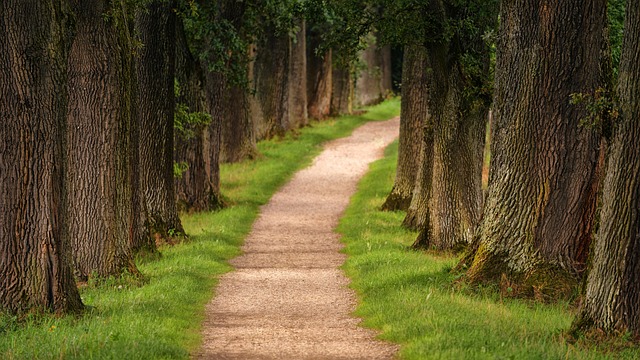 explore all avenues