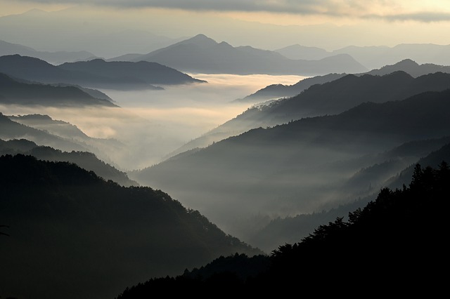 Hình minh họa ontdekt