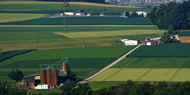 extensive farm