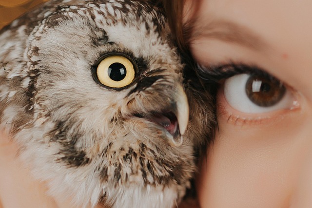eye contact
