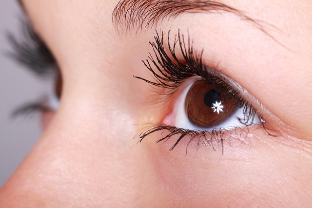 eyebrow mascara