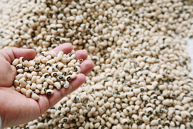 Hình ảnh minh họa ý nghĩa của từ fabaceae