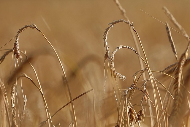 failed harvest