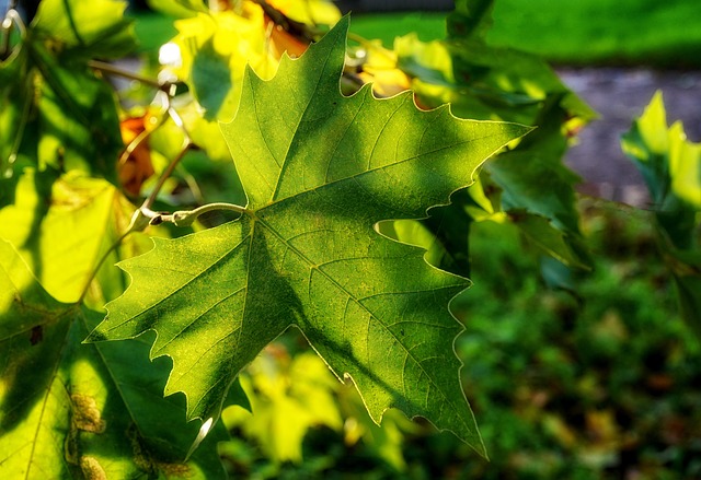Fall through