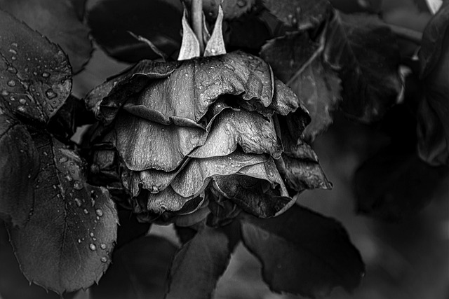 Hình ảnh minh họa ý nghĩa của từ fallback