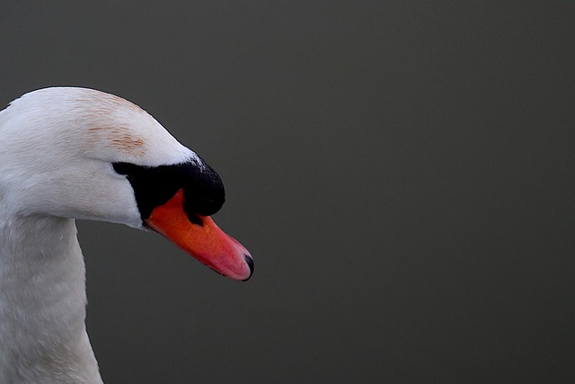 Hình ảnh minh họa ý nghĩa của từ familiarize