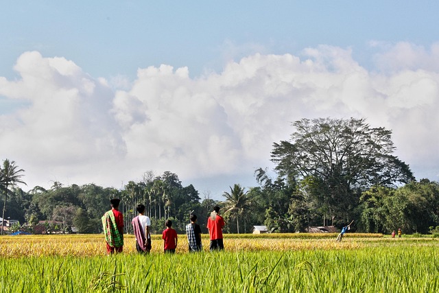 family farmer