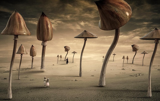 fantasy land
